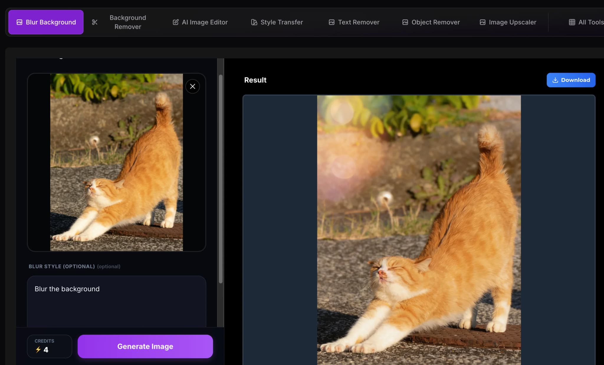 Preview and Download